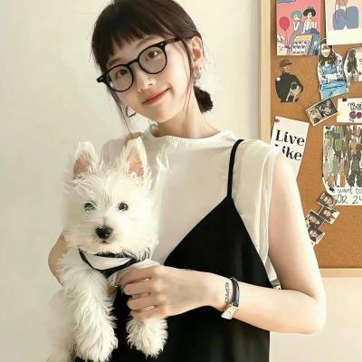 特洛伊奥德赛海报
