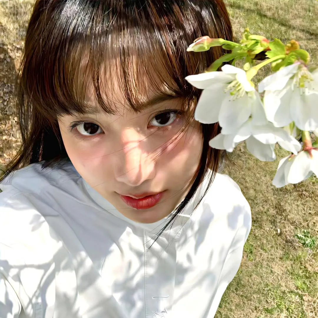 钢铁玫瑰海报