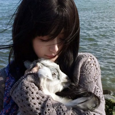 黛妃与女王海报