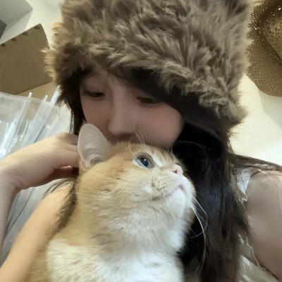 狐狸猎手海报
